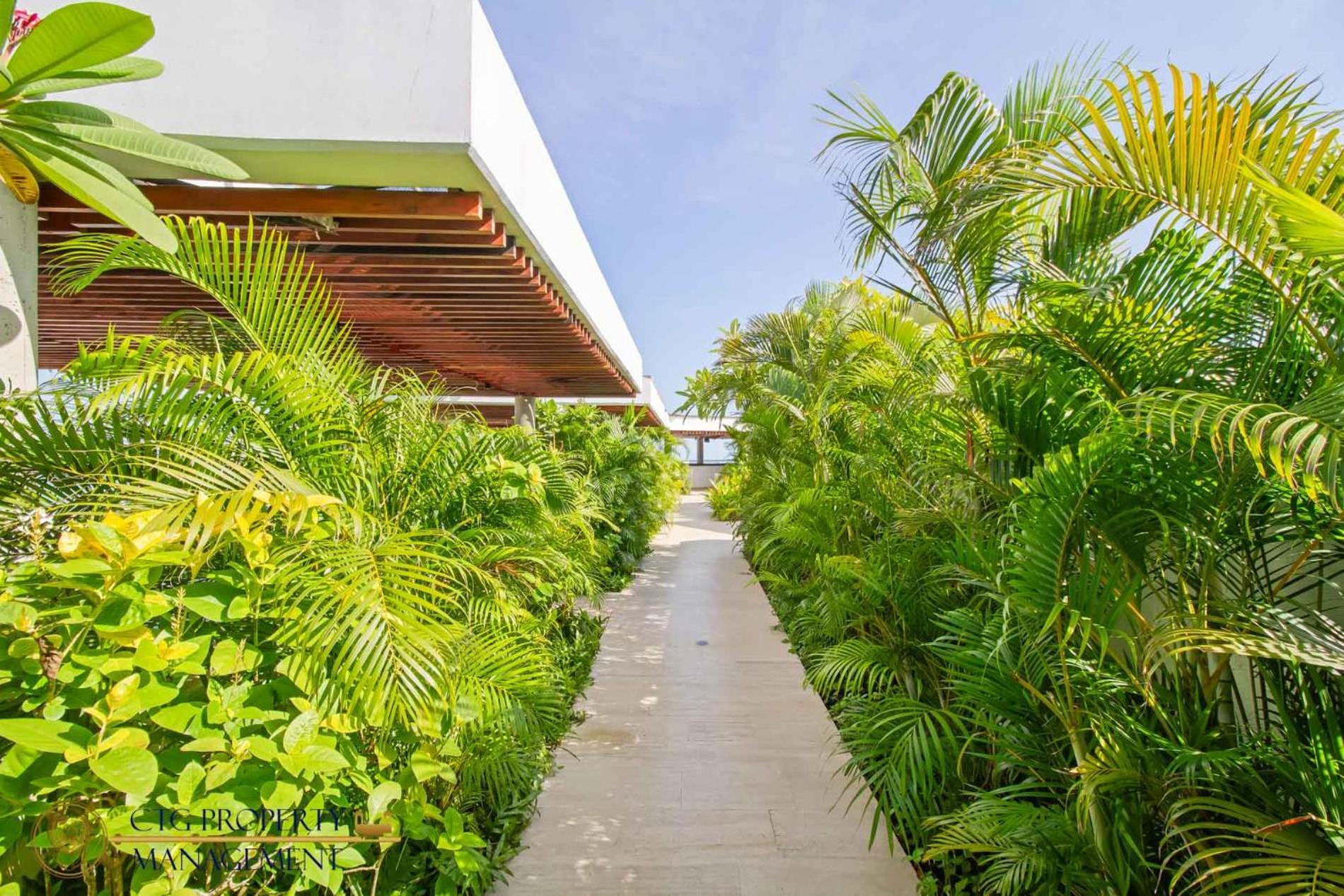 Martinique Cartagena, Beautiful 1 & 2 Bedroom Apartments 外观 照片